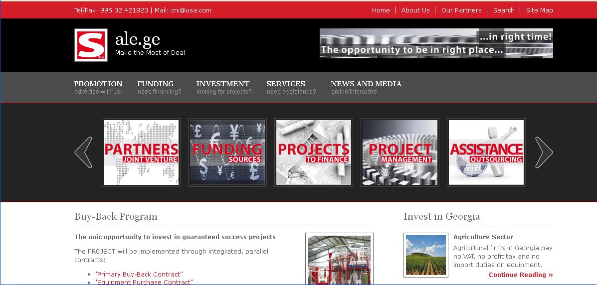 CONSULTING AND INVESTMENT Website Screenshot